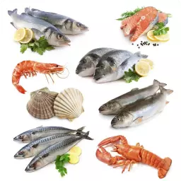 food additives in seafood & aquatic